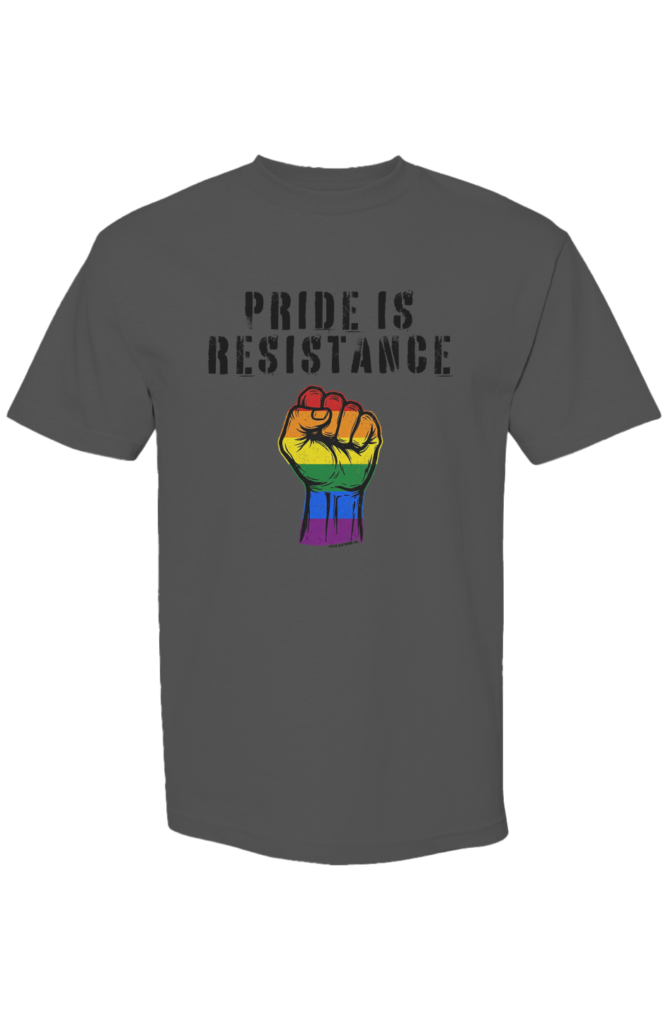 PCC/X Collection Pride Is Resistance Graphic Tee in Charcoal